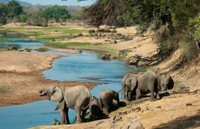 Ruaha National Park