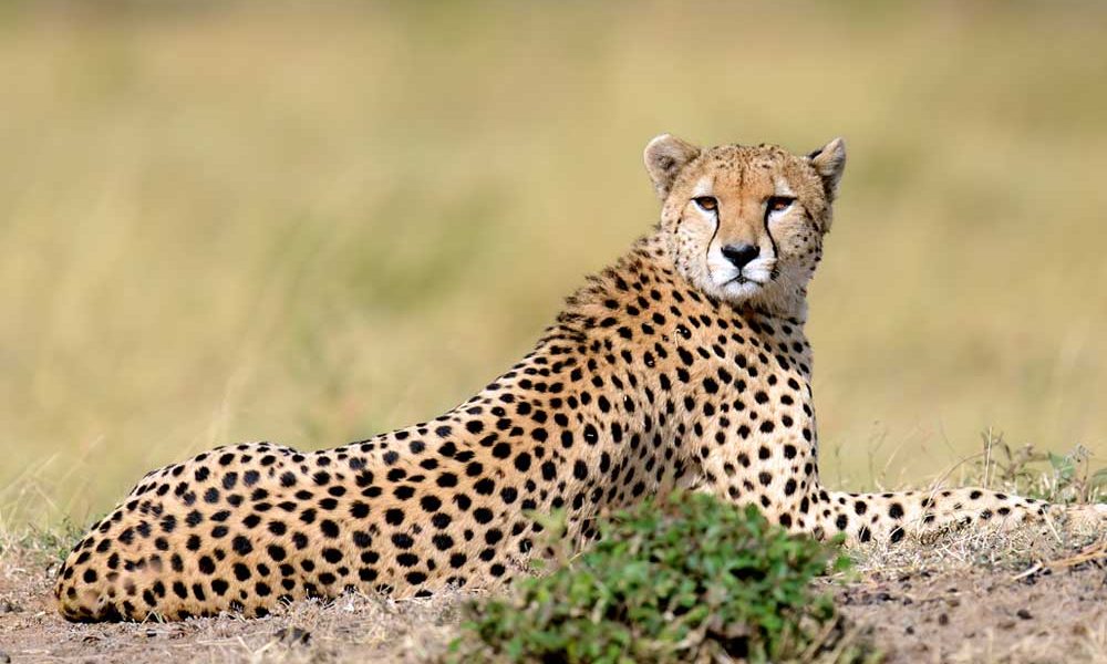 Serengeti National Park