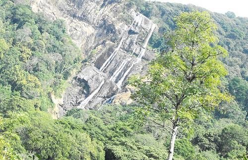 Udzungwa Mountains National Park