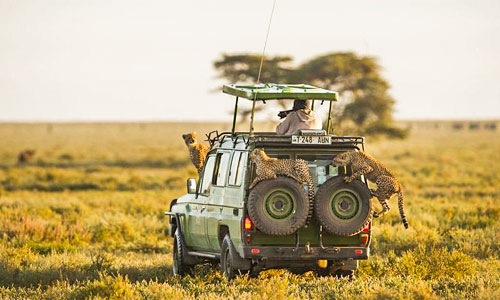 priva-safaris-adventures---tanzania-safari