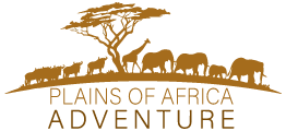 Plains of Africa Adventure